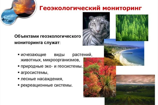 Кракен шеринг