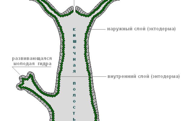 Ссылка на кракен tor