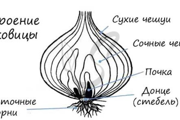 Как закинуть деньги на кракен